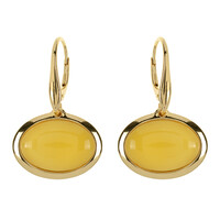 Orecchini in argento con Ambra Baltica