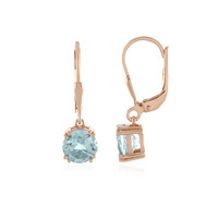 Orecchini in argento con Topazio Blu Cielo