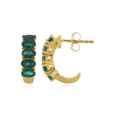 Orecchini in argento con Grandidierite