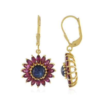 Orecchini in argento con Zaffiro Stellato Blu