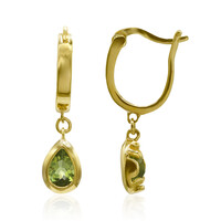 Orecchini in argento con Peridoto