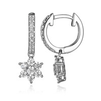 Orecchini in argento con Zircone