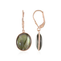 Orecchini in argento con Labradorite Verde Maniry (KM by Juwelo)