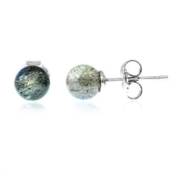 Orecchini in argento con Labradorite