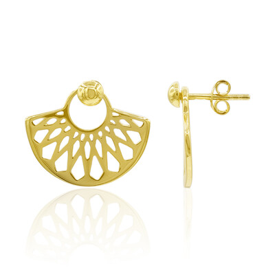 Orecchini in argento