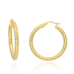 Orecchini in argento