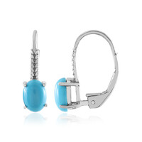 Orecchini in argento con Turchese Sleeping Beauty (Faszination Türkis)
