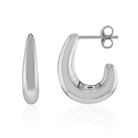 Orecchini in argento