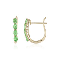 Orecchini in oro con Tsavorite