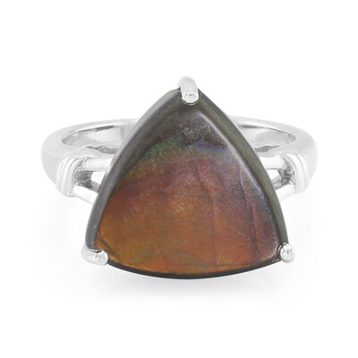 Anello in argento con Ammolite