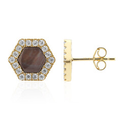 Orecchini in argento con Madreperla