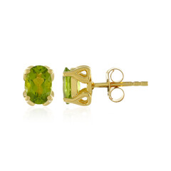 Orecchini in argento con Peridoto