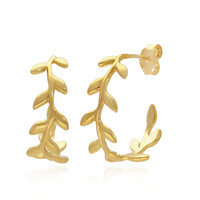 Orecchini in argento