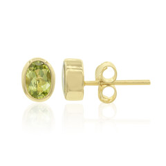 Orecchini in argento con Peridoto