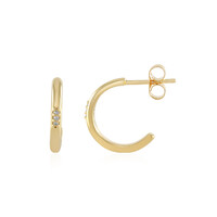 Orecchini in argento con Diamante SI2 (J)