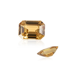 Gemma con Zircone Giallo