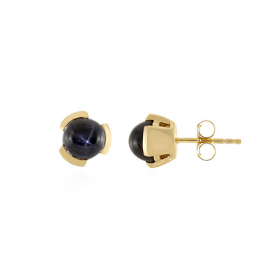 Orecchini in argento con Diopside Stellato d'India