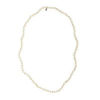Collana in argento con Perla di Acqua Dolce (TPC)