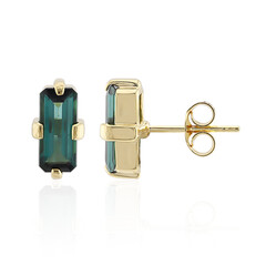 Orecchini in argento con Indicolite (Adela Silber)