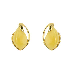 Orecchini in argento con Ambra Baltica