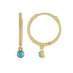 Orecchini in argento con Turchese
