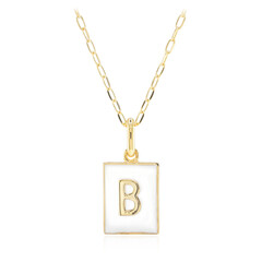 Collana in argento