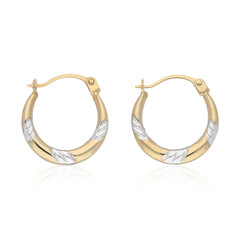 Orecchini in oro