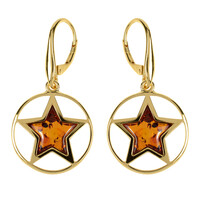 Orecchini in argento con Ambra Baltica