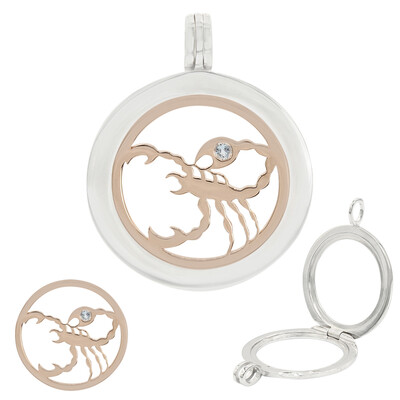 Ciondolo in argento con Acquamarina (Scorpione)