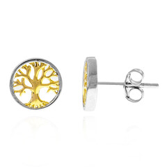 Orecchini in argento