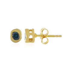 Orecchini in argento con Diamante Blu I4