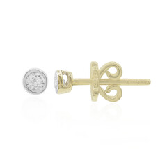 Orecchini in oro con Diamante SI1 (G)