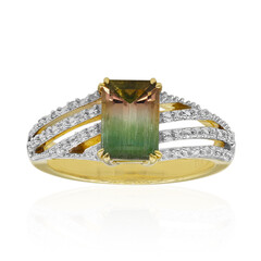 Anello in oro con Tormalina Bicolore
