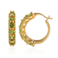 Orecchini in argento con Peridoto della Birmania