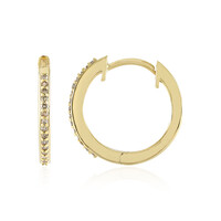 Orecchini in argento con Diamante Champagne I3