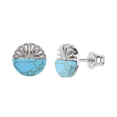Orecchini in argento con Turchese
