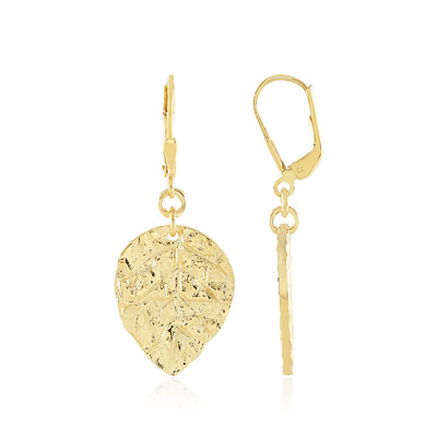 Orecchini in argento