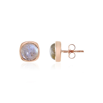 Orecchini in argento con Labradorite