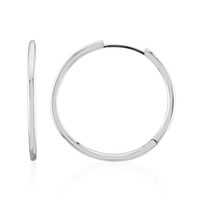 Orecchini in argento