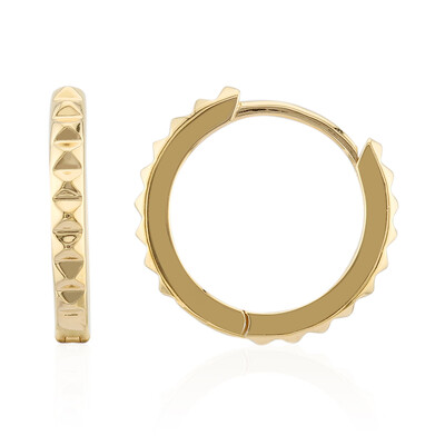 Orecchini in argento
