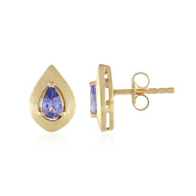 Orecchini in argento con Tanzanite