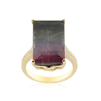 Anello in oro con Tormalina Bicolore (CIRARI)