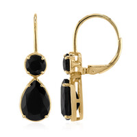 Orecchini in argento con Onice Nero