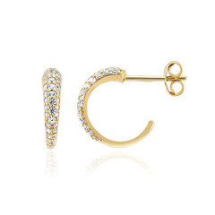 Orecchini in argento con Zircone