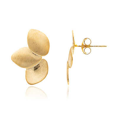 Orecchini in argento