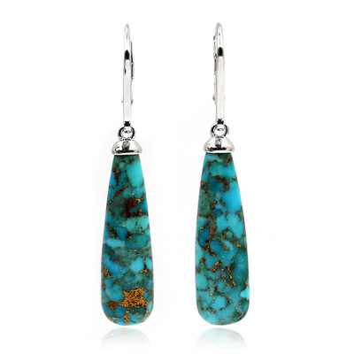 Orecchini in argento con Turchese Ramato Blu (Faszination Türkis)