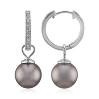 Orecchini in argento con Perla Tahitiana (TPC)