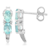Orecchini in argento con Apatite Blu