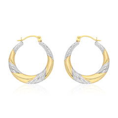 Orecchini in oro