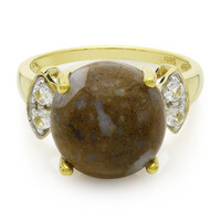 Anello placcato in oro con Quarzo Dinosauro
